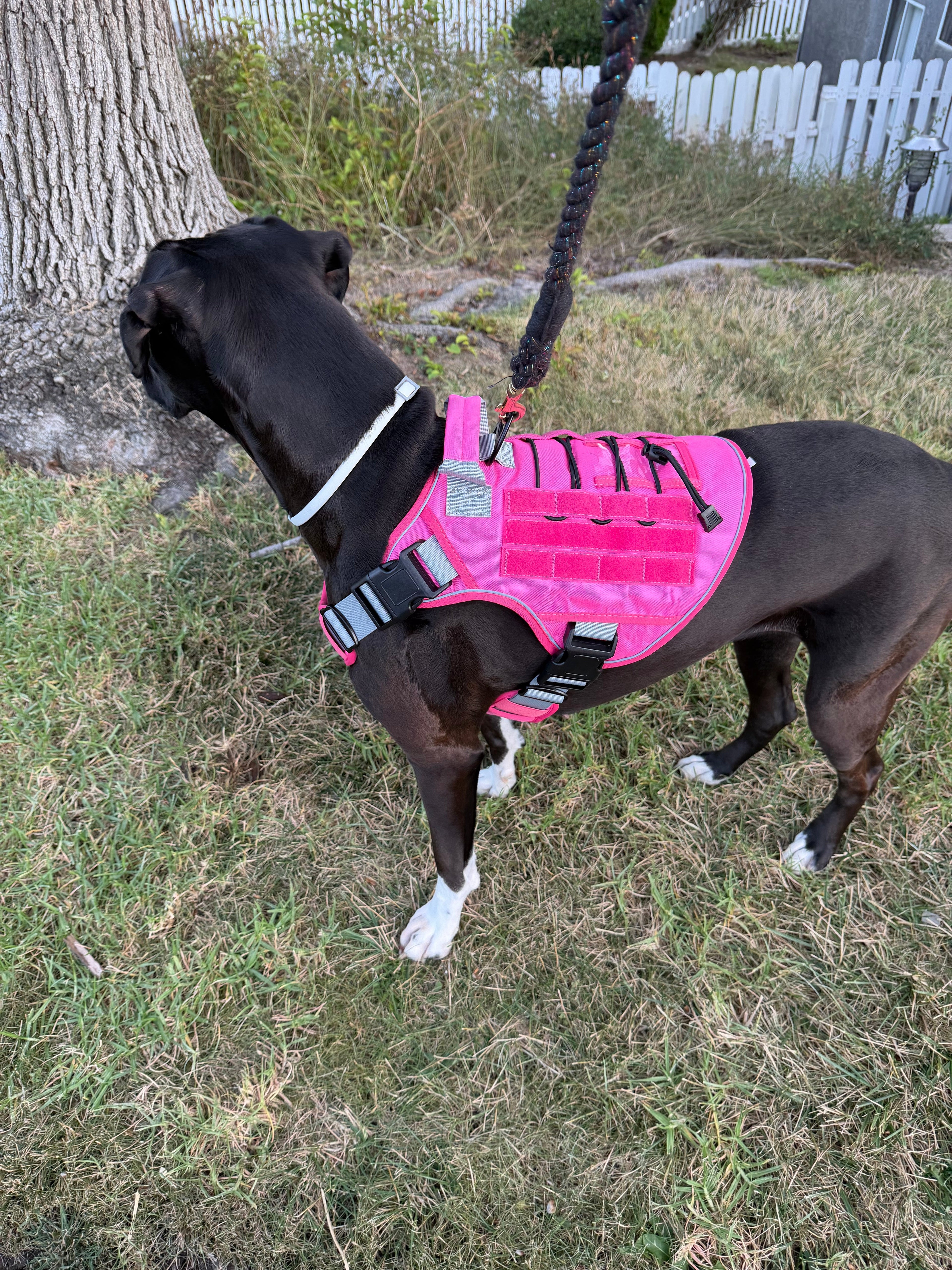 Heavy-Duty Tactical Boxer Dog Harness for Large Dogs