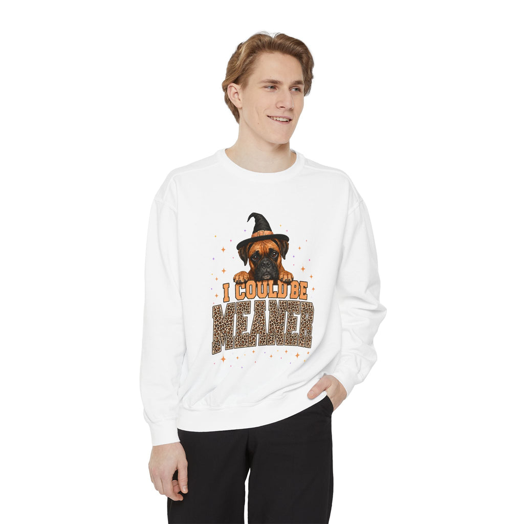 Halloween Dog Sweatshirt - "I Could Be Weiner" Witch Hat Dachshund Pullover