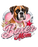 Boxer Moms  - Home